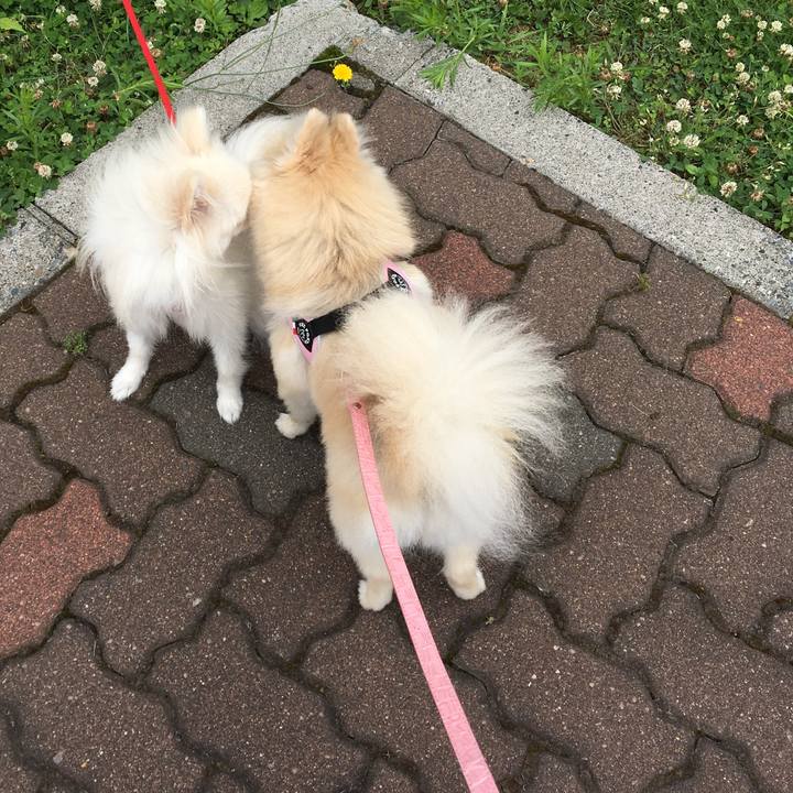 28f458d7 5078 451a a815 10ad101d8699