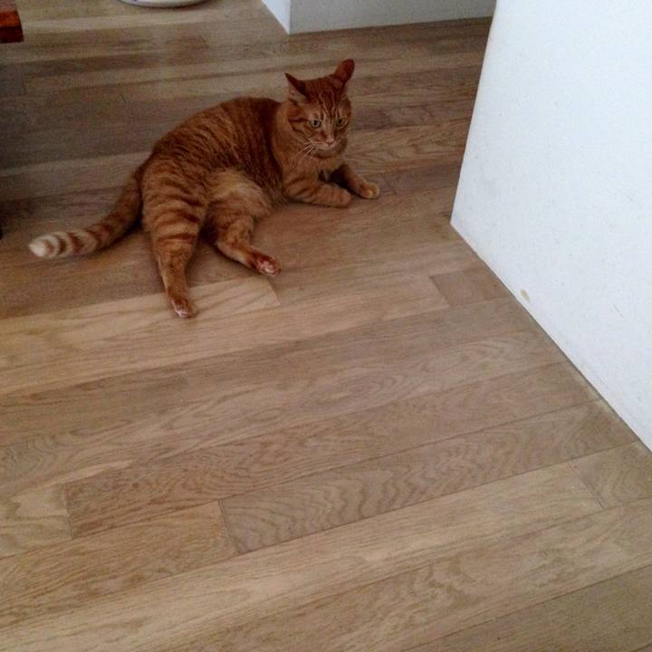 28f53753 4018 42f4 a88a e30f97f4e820