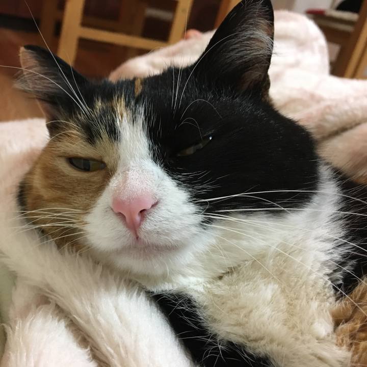 28f5d348 c7af 41c5 8475 04f5632ba852