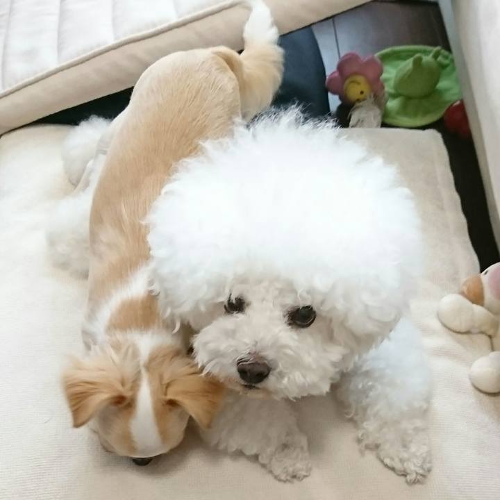 28f5e6f5 8d9b 46bb 8739 57c9dfb7b2f8