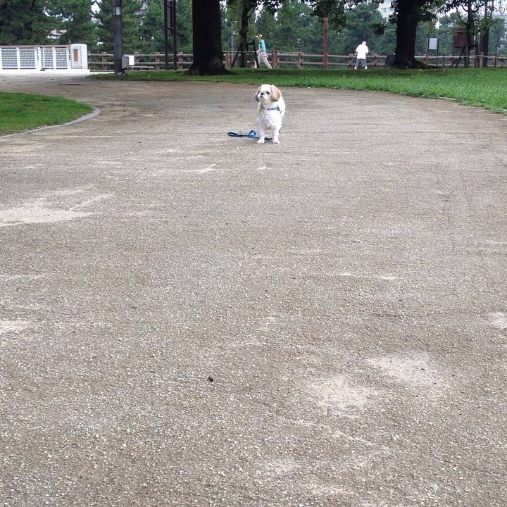 28f63c02 f0a6 48ac 9c66 7dd3f7a88bde