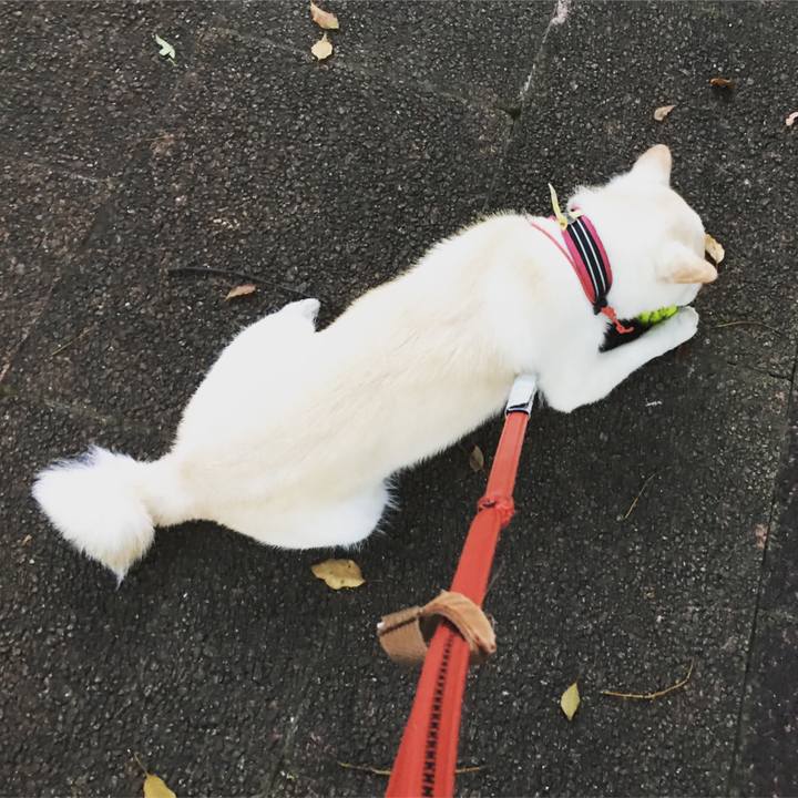 28f74a7b b97f 476a b5fe 5d436a31b766