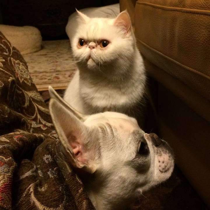 28f78f43 d786 4259 b23c 4b348bb8768a