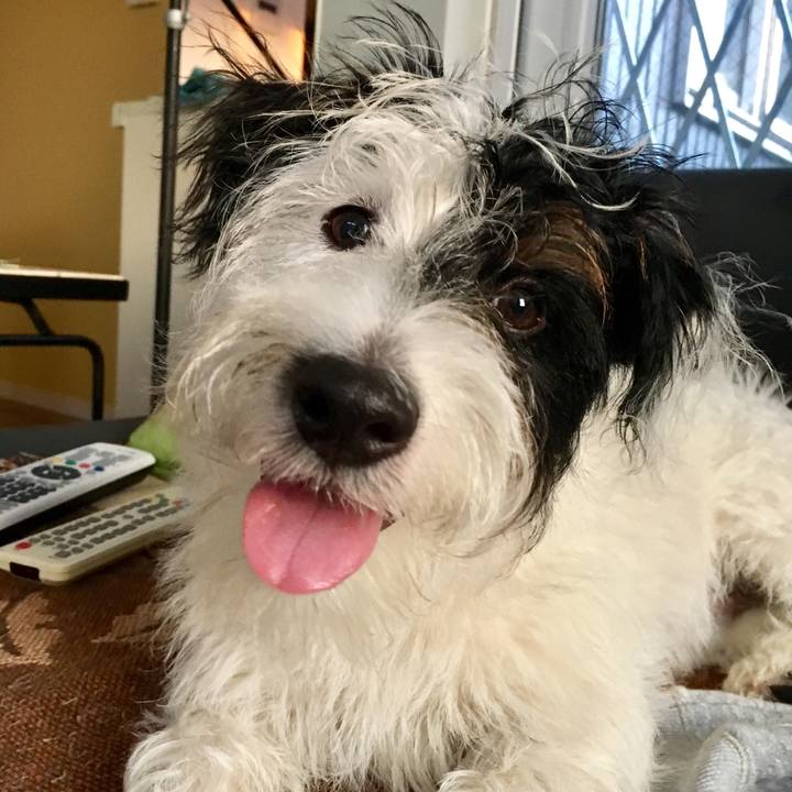 28f7a5fd 1f8b 4ee2 9f97 1929f3dedc8d