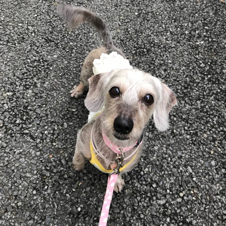 28f80a88 b1c9 44cf 92a8 ef4f413b2a0b