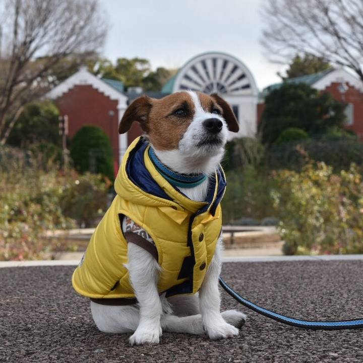 28f83d8a 04a5 4f10 8833 a64994f3bd47