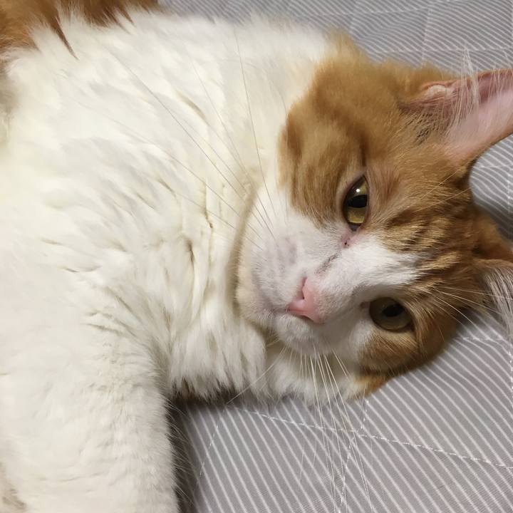 28f96549 7c0d 439f b520 f8ded73fcede