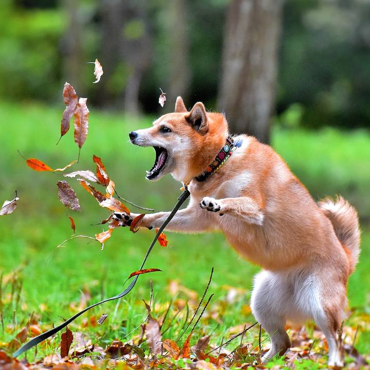 28f9c7da f67d 4603 9671 9d5d41ff6d34