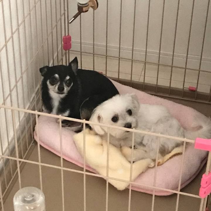 28f9d4bc c6c7 4860 ac84 5234e949c34b