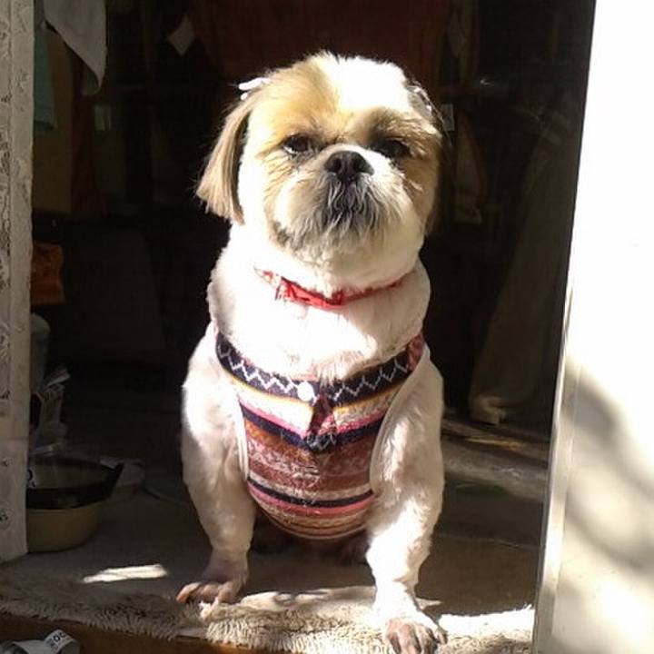 28fa1a38 5e17 471b b877 04b898ed32c6