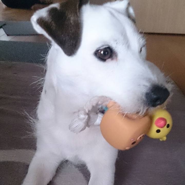 28fa54ec da55 4a01 ac57 9da5dbb5ba7f