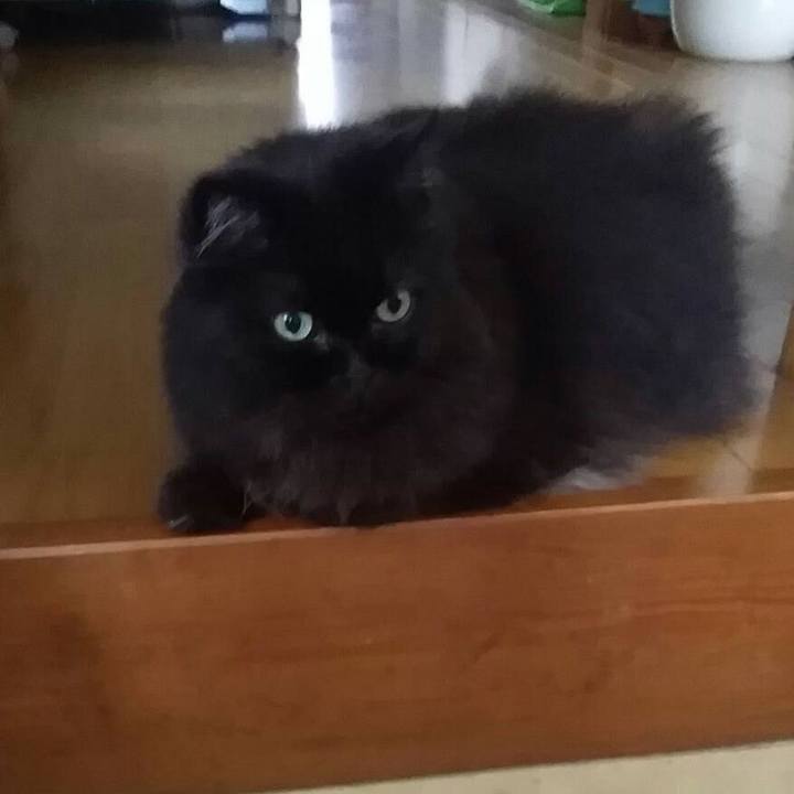 28fa9e69 aa97 4bf0 88d3 0012efb71579