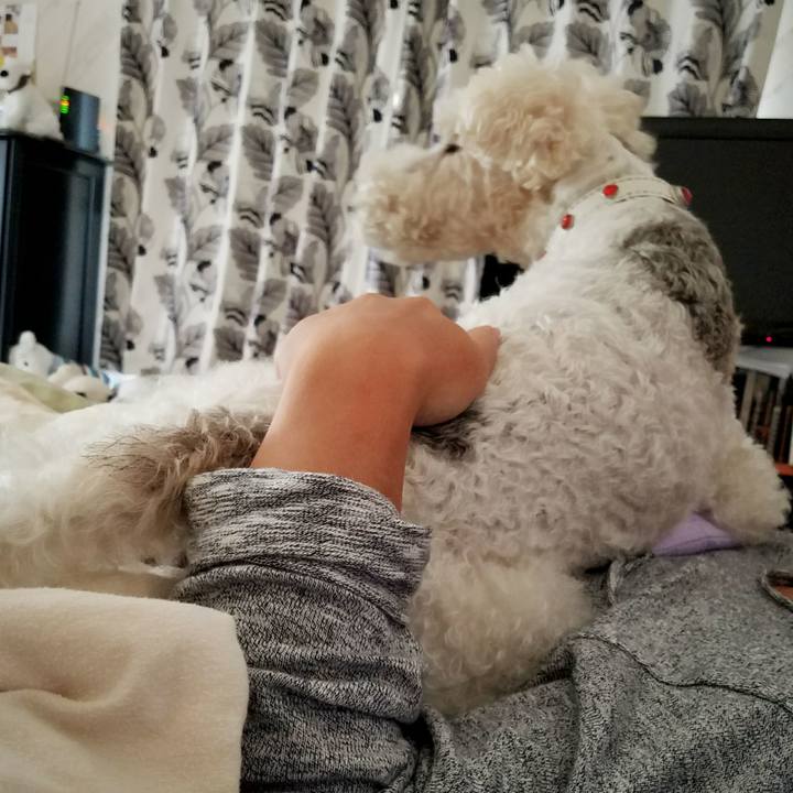 28fb4a56 8d8b 4180 aa58 c7ab3e7f62a0