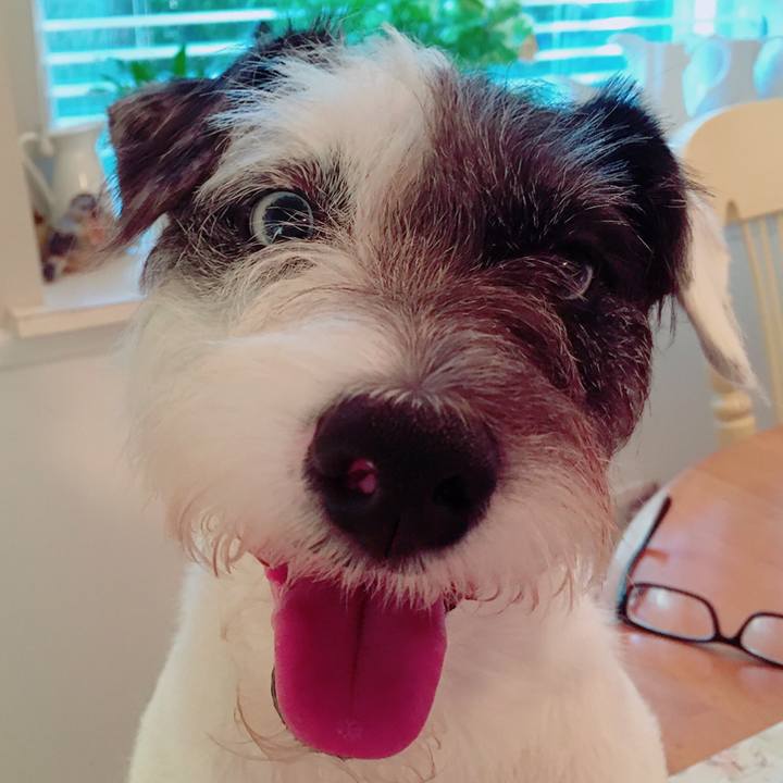 28fbcb55 a2b8 48c2 bd9f 078370fd5e0a