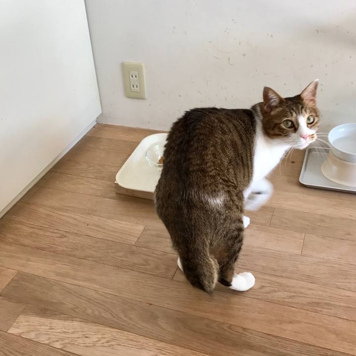 28fbce7c 96ce 4aba aa61 b709b885533f