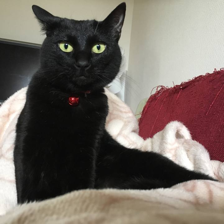 28fcbb02 6795 4348 8467 677af4782844