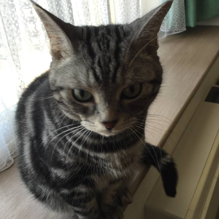 28fcf5ec 0c31 4d54 9630 2461c95bd2c3