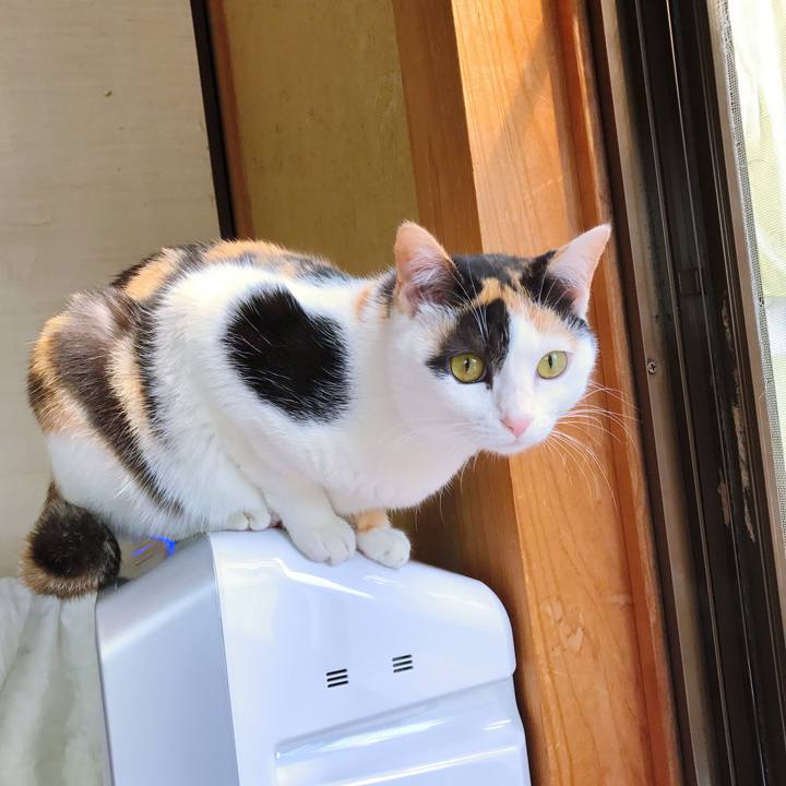 28fd18e8 9bbf 402d 8d60 916fefa7579b