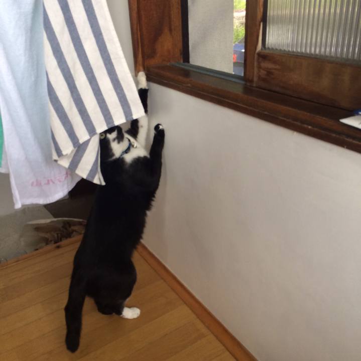 28fd1b0a 5ce6 49ee 9ca5 587ba6c38cd9