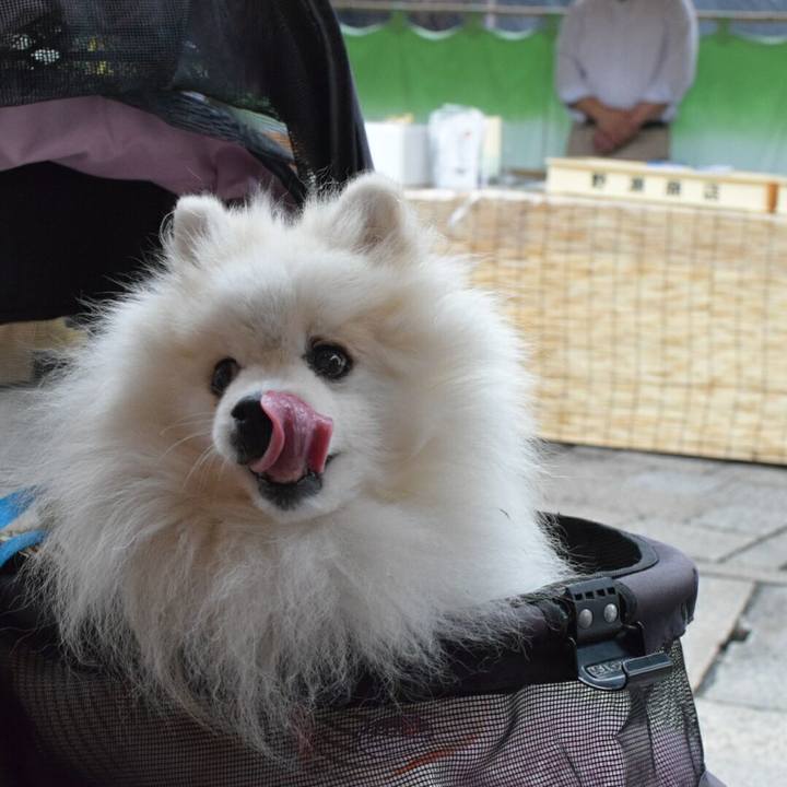 28fd9a35 3f8c 46c1 8913 6b5b582bca55