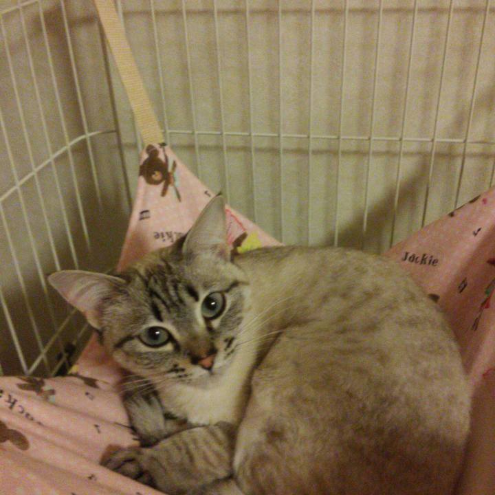 28fdc81f cafe 4833 9f54 4fd37230ad53