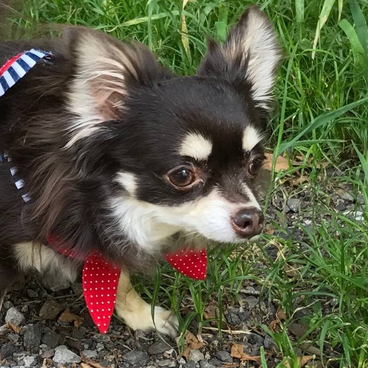 28fdfaf1 8b5c 45af a73a ae1b340b16b8