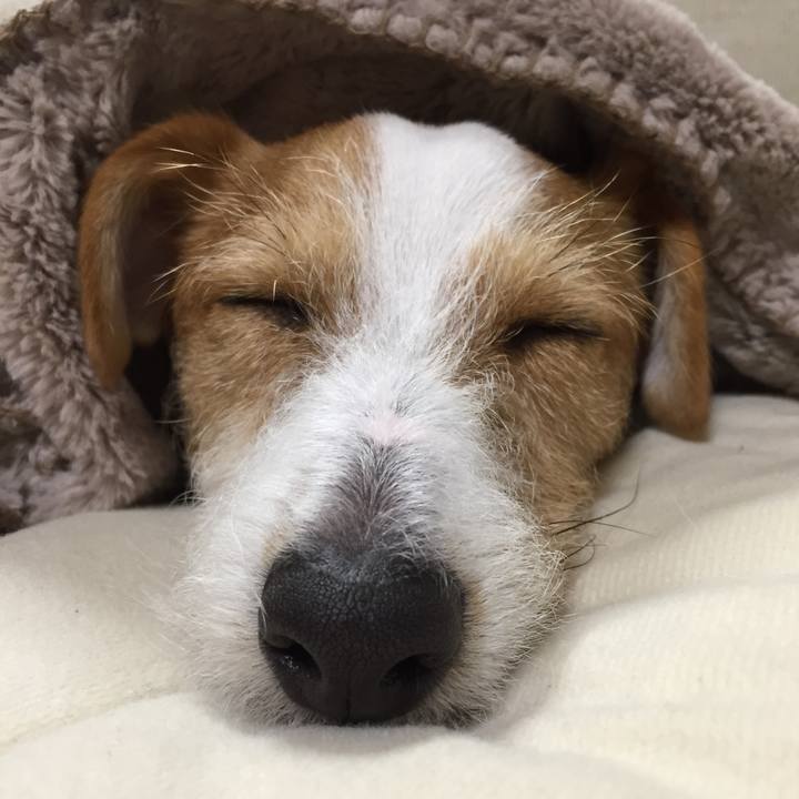 28fe225e 6059 4955 9ec2 547eb2b3a305