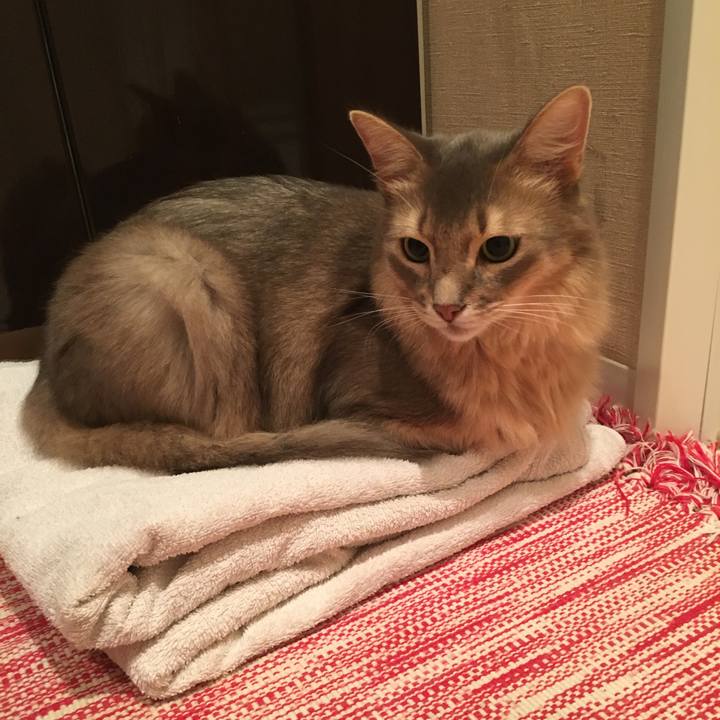 28fe61f6 8c4c 4987 b01e 78df93ec4871