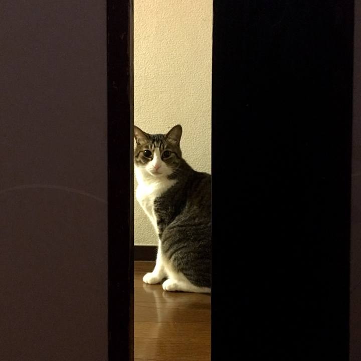 28fe9e25 9fcf 4a0f ab7d 797d342f1b61