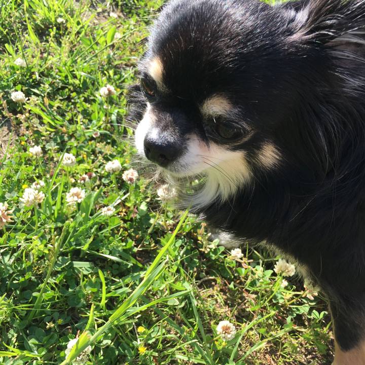 28ff08ac 50ef 414e 9b76 91f0f1f768e3