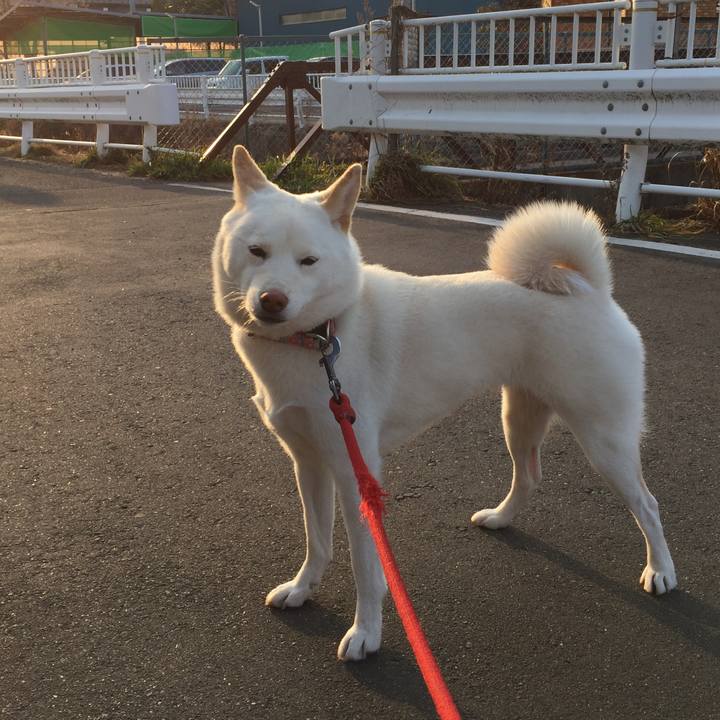 28ff1bac e128 42e2 98e6 66e220af9055