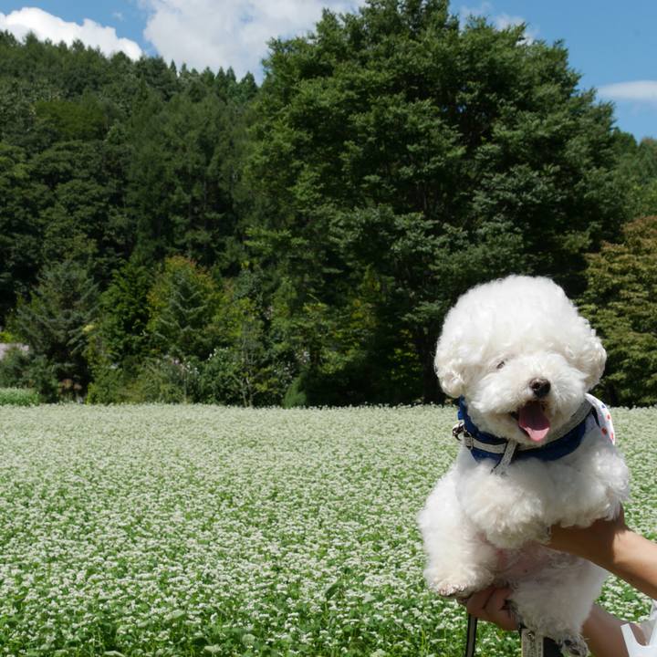 28ff38cf 98e0 4bc5 824b b7b167dec0af