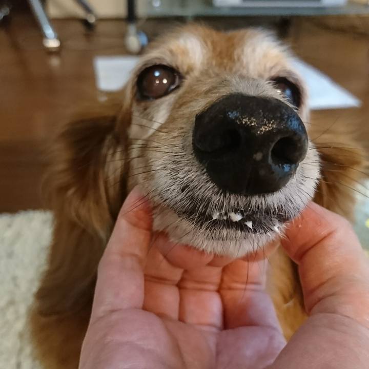 28ff5d1a 7f37 4888 a870 a5629371a61f