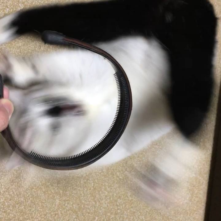 28ff63b8 21c3 4977 9232 0b7133c95582