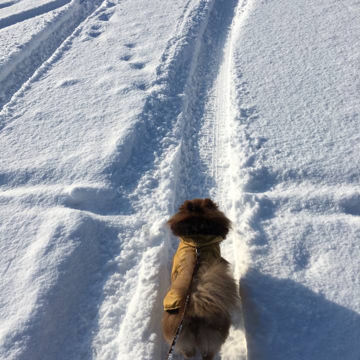 28ffb8cd 37e9 4408 b9b0 d736bccbe6c2