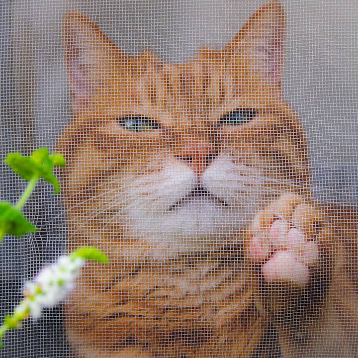 29001bdb 49e7 4946 b43b 105dfe198ca7