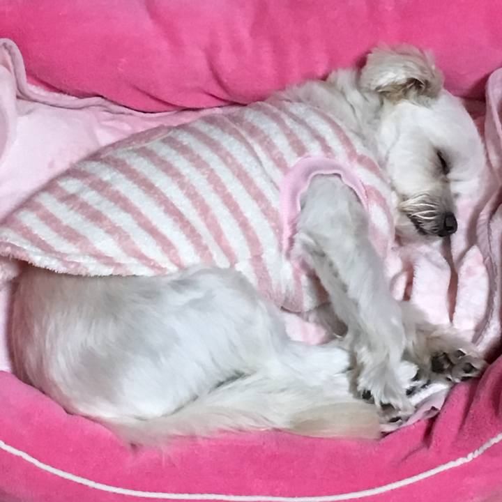 2900673b f611 418c a97e bb5c295d8446