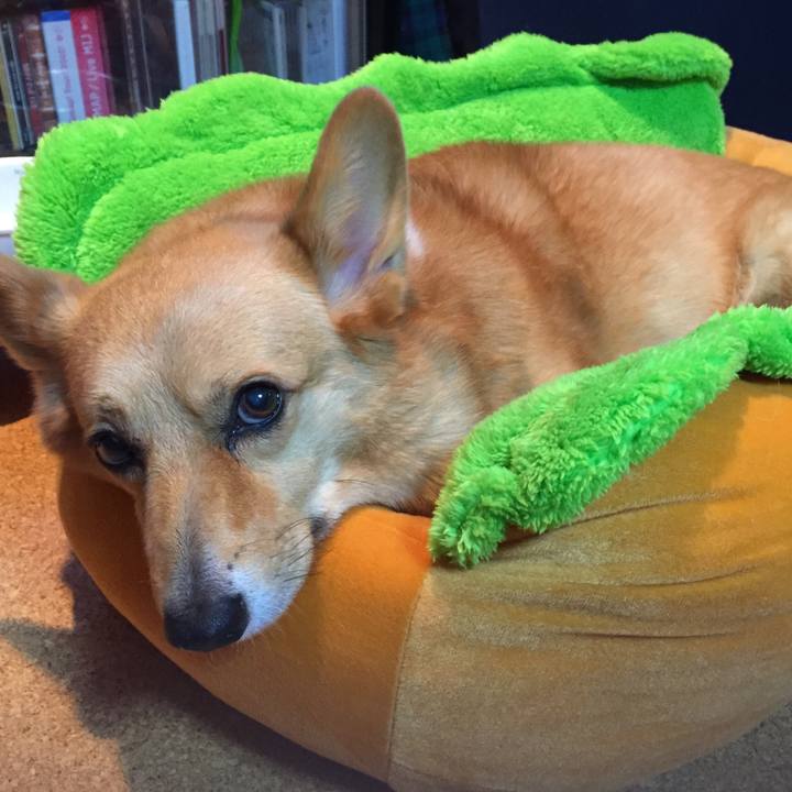 29009964 305c 49ce ac4c 0bc74631de65