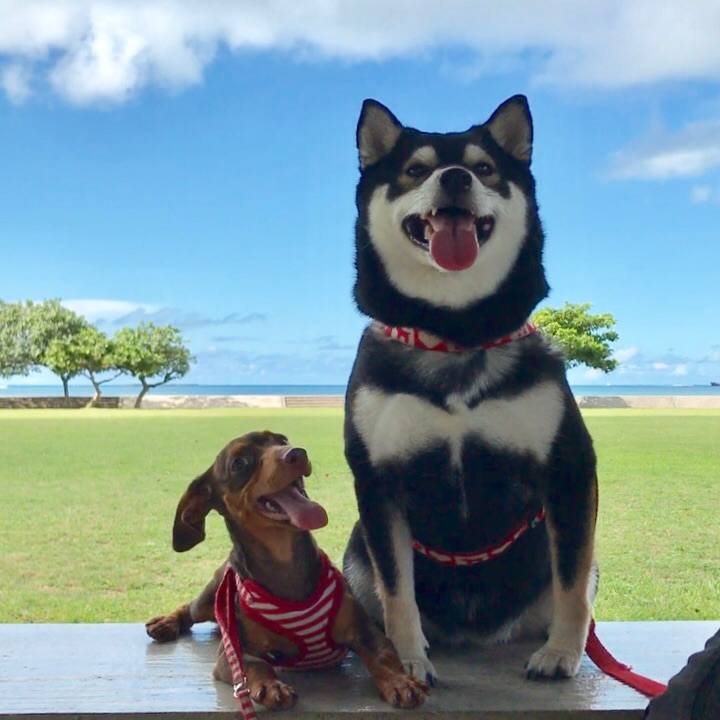 2900d57c a1ec 4e42 abad 3896324ff525