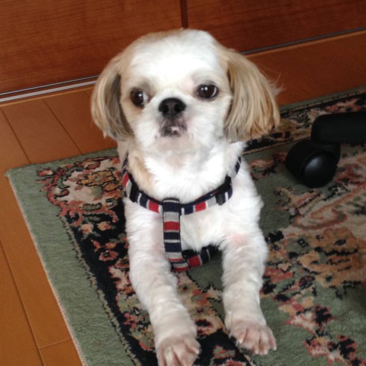 2900e5ab 8aad 4587 ac43 9f1b3030ec5c