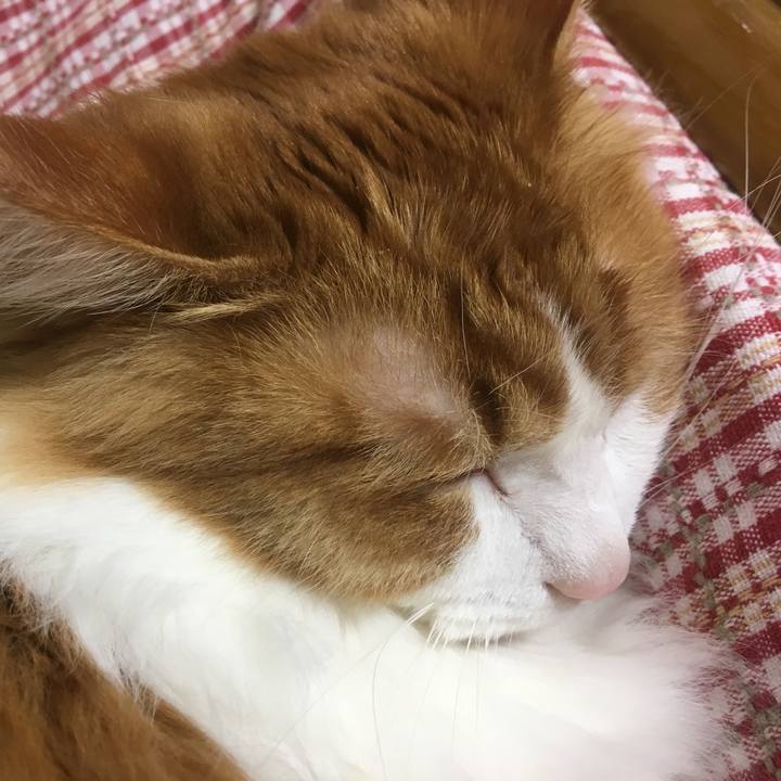 29011f68 2ab9 42d7 8d25 633dfa04e6a8