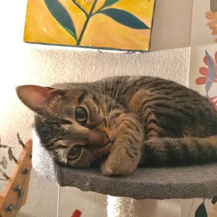 29025d7c fd68 4040 bf60 0cc2d7184307