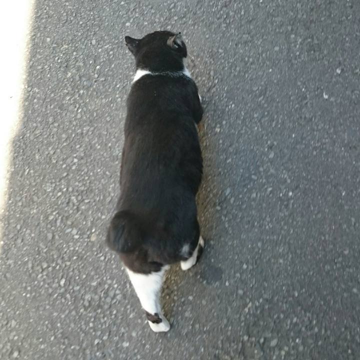 29028449 a024 4e12 b4da 1f5d6580b81f