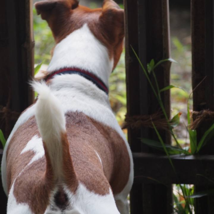 2902c0f9 0bec 4062 b1e0 2aebfe7b88ef