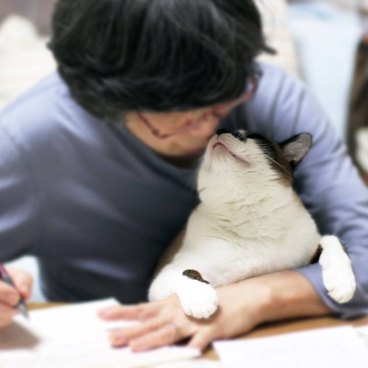 2902d66e e9e5 4756 8dbb f86b4050635d