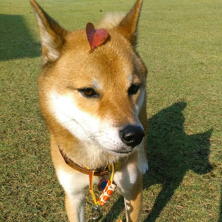 290350b1 318b 44d6 8b61 4659ba2d89fc