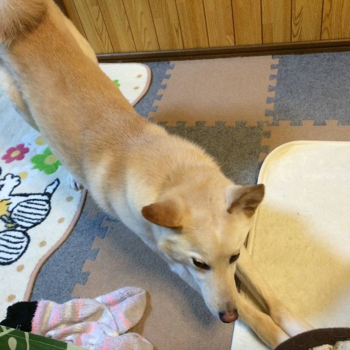 29036f60 d4bf 4179 99f9 574520557889