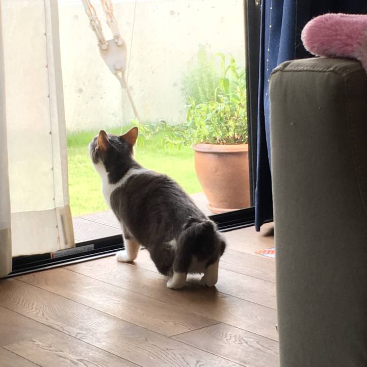 2903875c b578 4193 b3b0 5a00175348d8