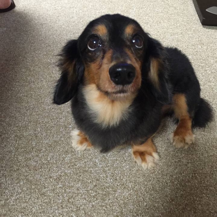 29042ca4 b830 4925 b93d 2c53c952c7c4