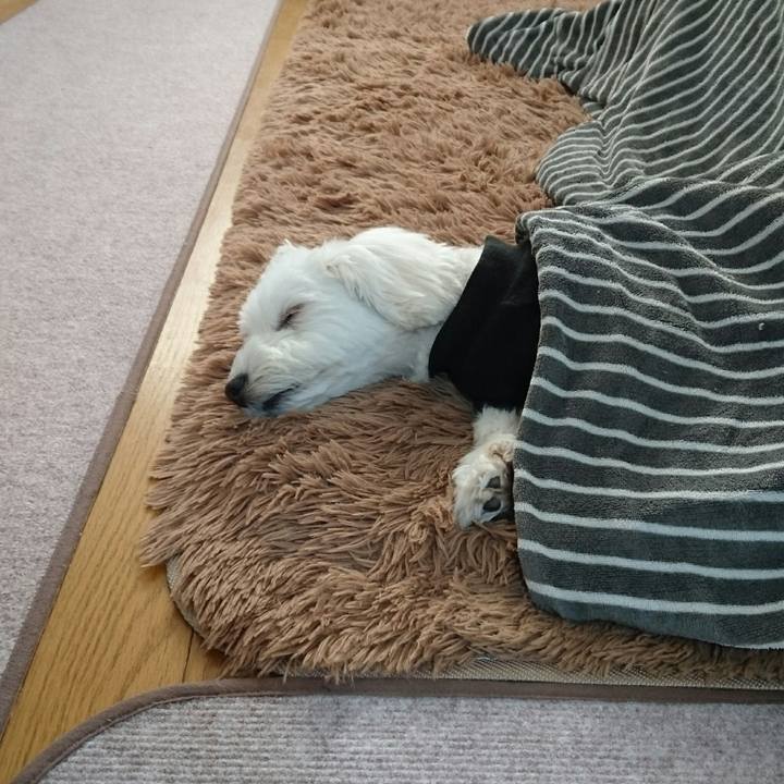 2904e01e 129e 4d18 a6a2 b92fea6c10cf